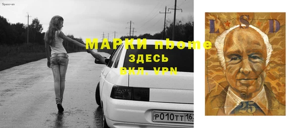 стаф Алзамай