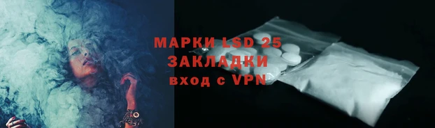 стаф Алзамай