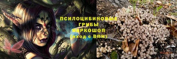 МДМА Новозыбков