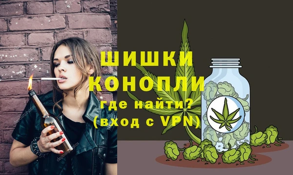 МДМА Новозыбков