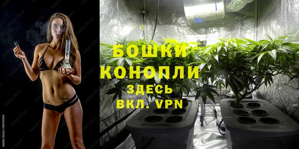 МДМА Новозыбков