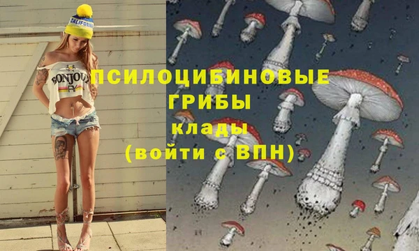 mdpv Новодвинск