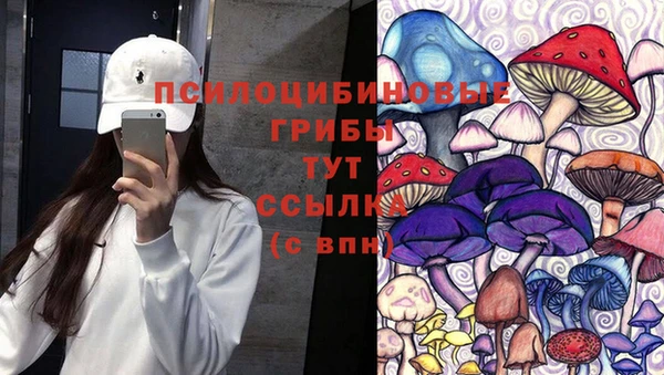 mdpv Новокубанск