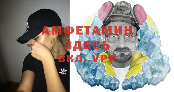 стаф Алзамай